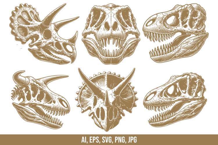 Dinosaur Skull Vector SVG Bundle