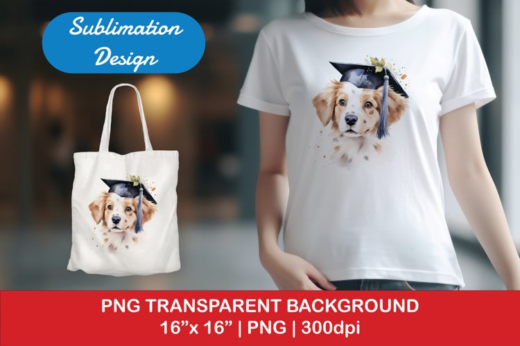 Graduation Png Image 21