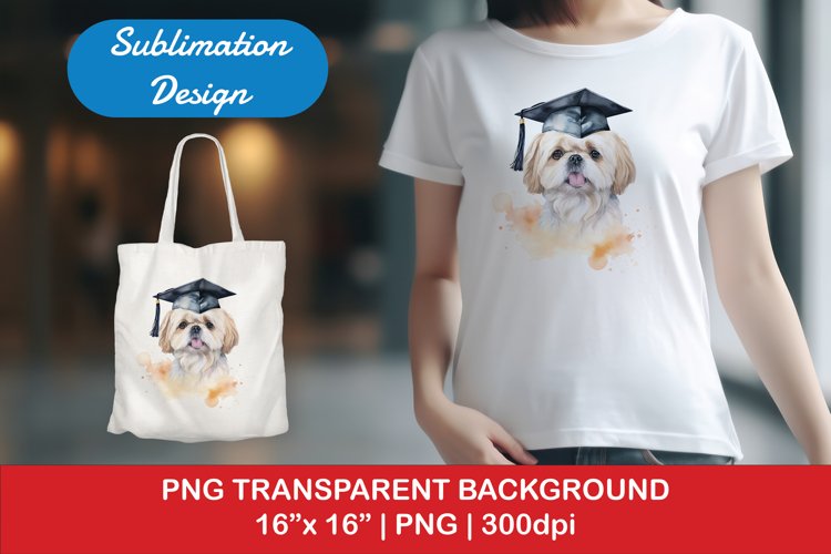 Graduation Png Image 17