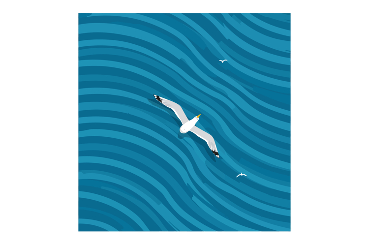 Seagull Clipart Image 2