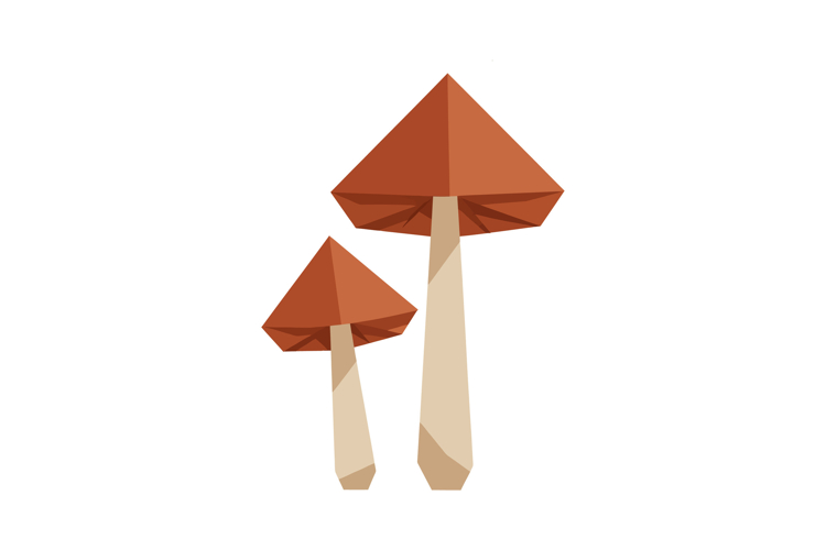 Two brown capped mushrooms with beige stems in minimal flat
