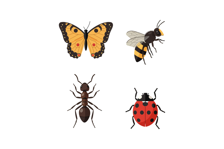 Ant Clipart Image 7