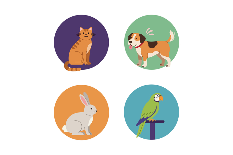 Rabbit Clipart Image 15
