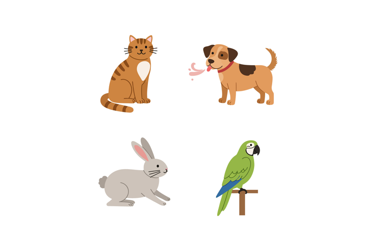 Parrot Clipart Image 22