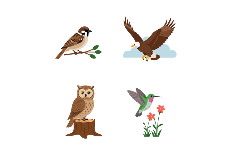 Hummingbird Clipart Image 20