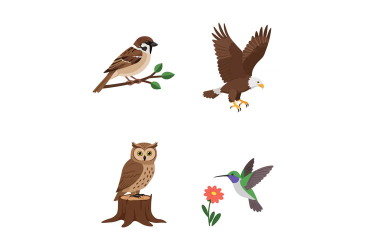 Eagle Clipart Image 13