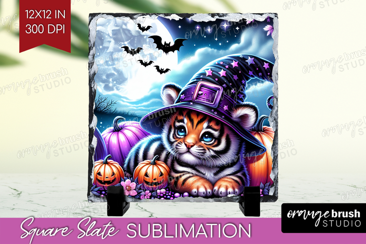 Tiger Clipart Image 14