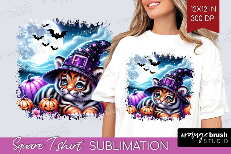 Tiger Clipart Image 15
