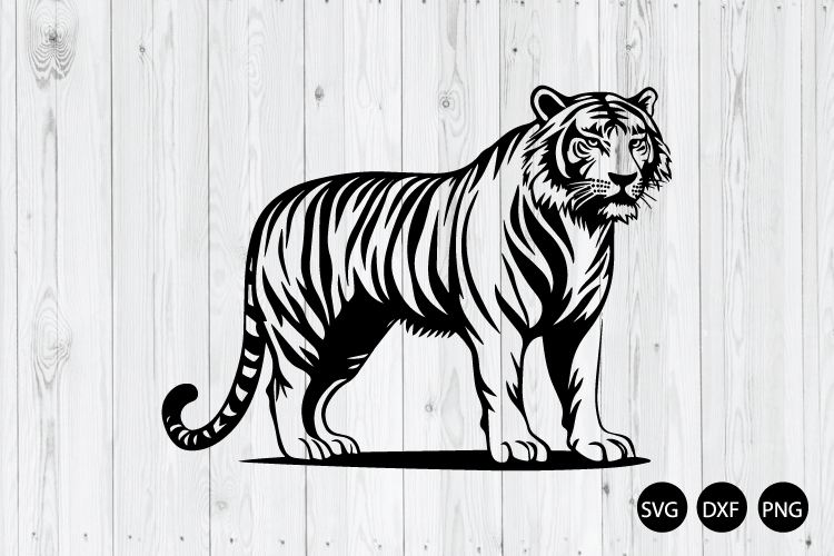 Animal Png Image 3