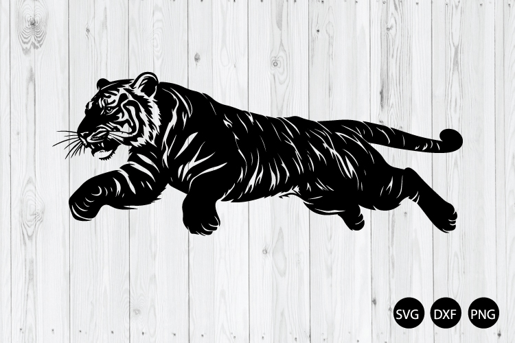 Animal Png Image 7