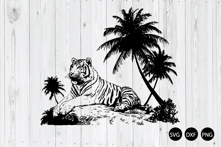 Animal Png Image 5