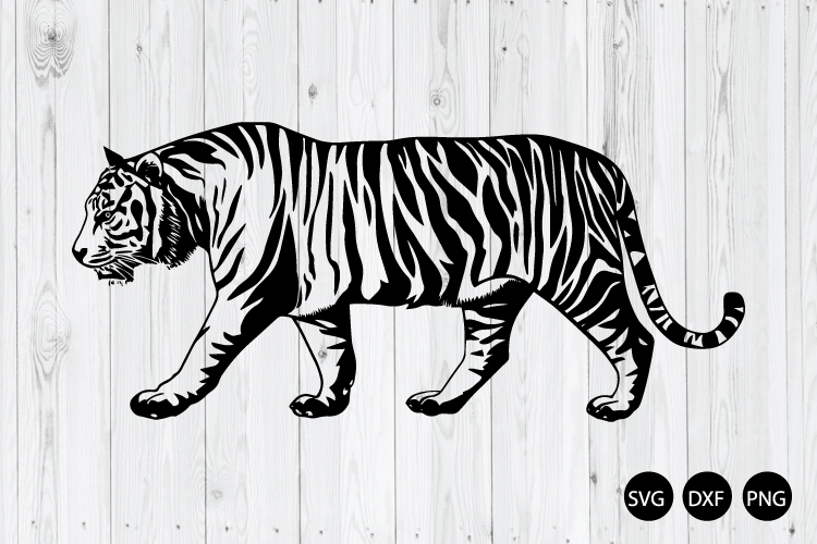 Tiger Walking SVG, Tiger SVG, Animal SVG