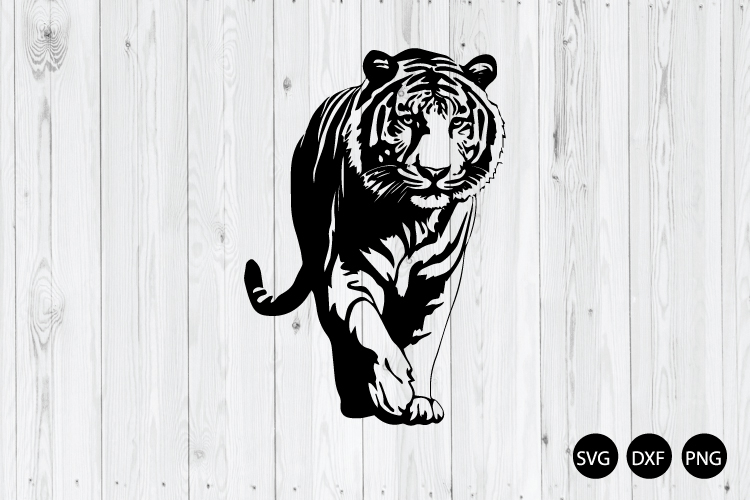 Tiger Walking SVG, Tiger SVG, Animal SVG