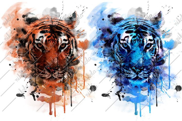 Tiger PNG Image 22