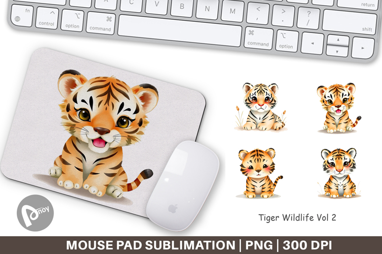 Tiger PNG Image 13