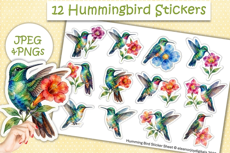 Cute Brightly Hummingbird Stickers PNG & JPEG