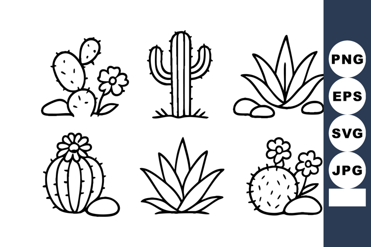 Succulent Clipart Image 14