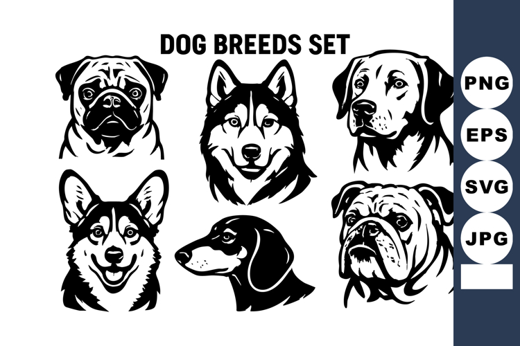 Labrador Clipart Image 22