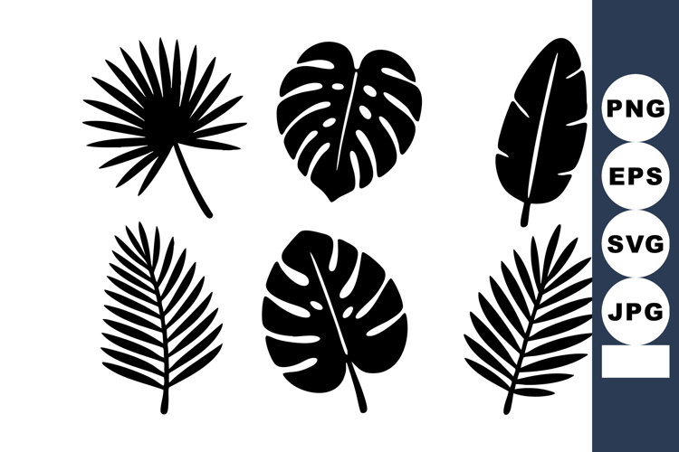 Tropical Leaf Vector Image 13