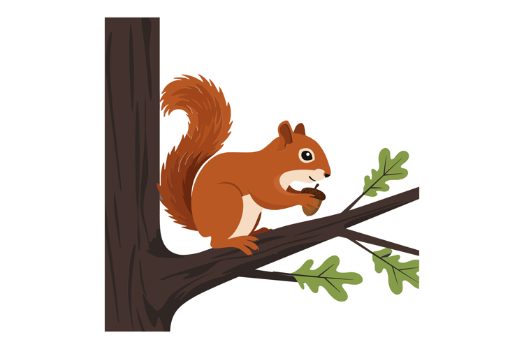 A playful squirrel sitting on a tree branch munching on an a