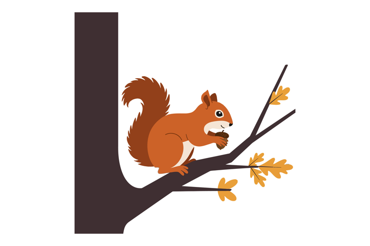 Squirrel Clipart Image 19