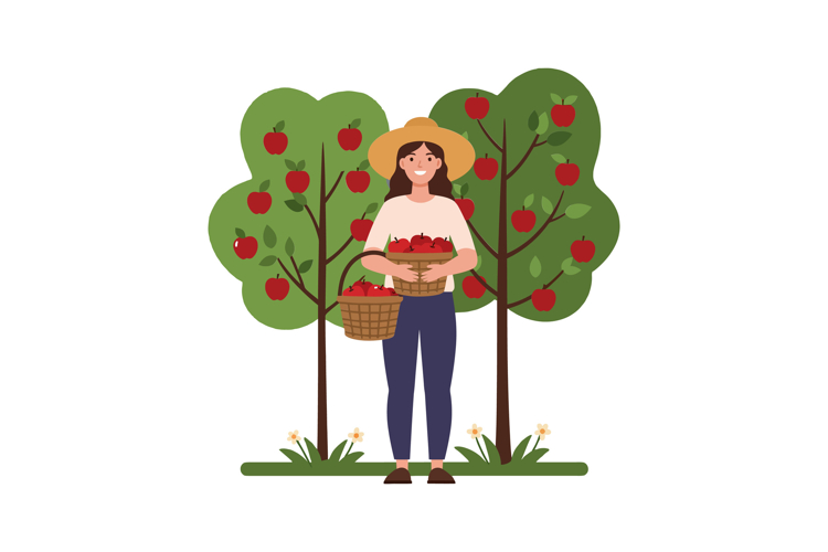 Apple Basket Clipart Image 7
