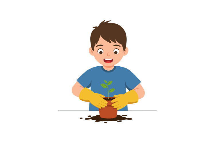 Seedling Clipart Image 21