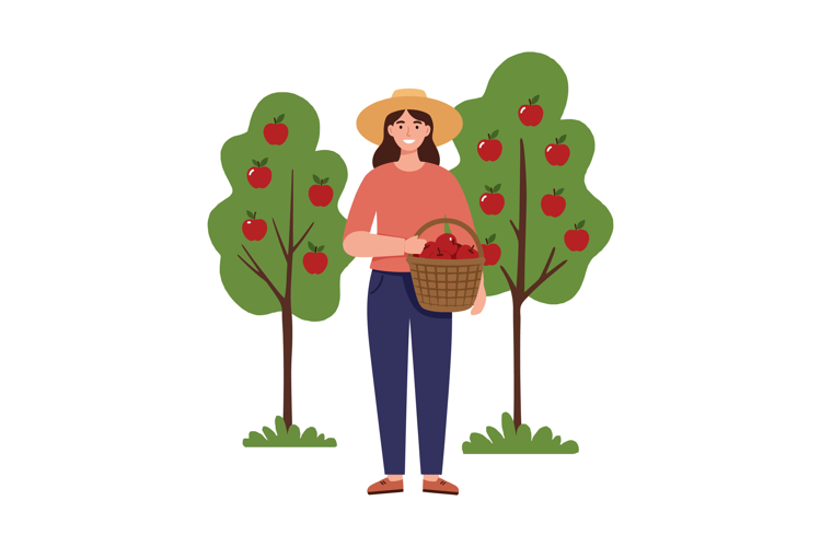 A woman in a straw hat holding a basket of apples standing b