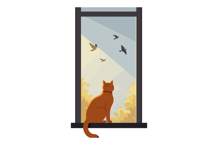 Window Illustration Image 21