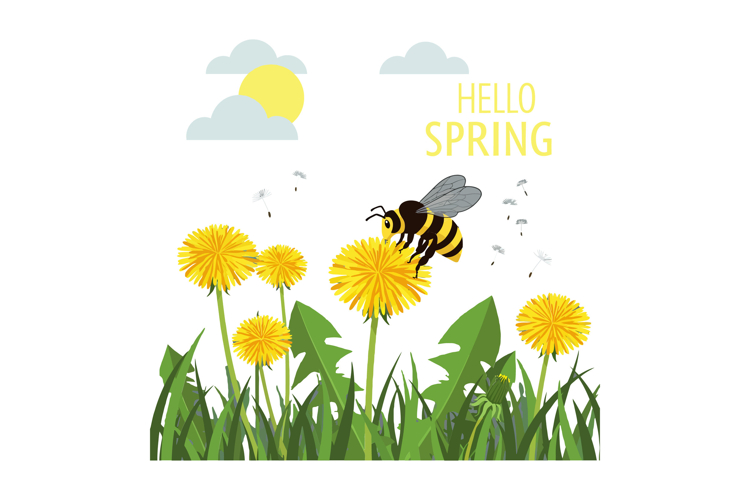 A cheerful bee buzzing over vibrant yellow dandelions under