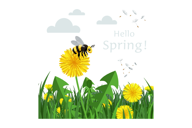 Dandelion Clipart Image 7