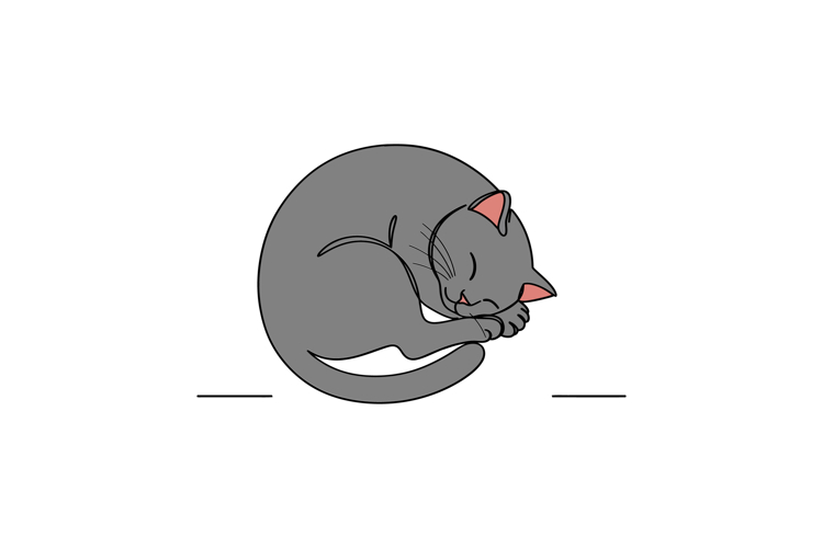 Gray cat curled up in a cozy position, showcasing a minimal