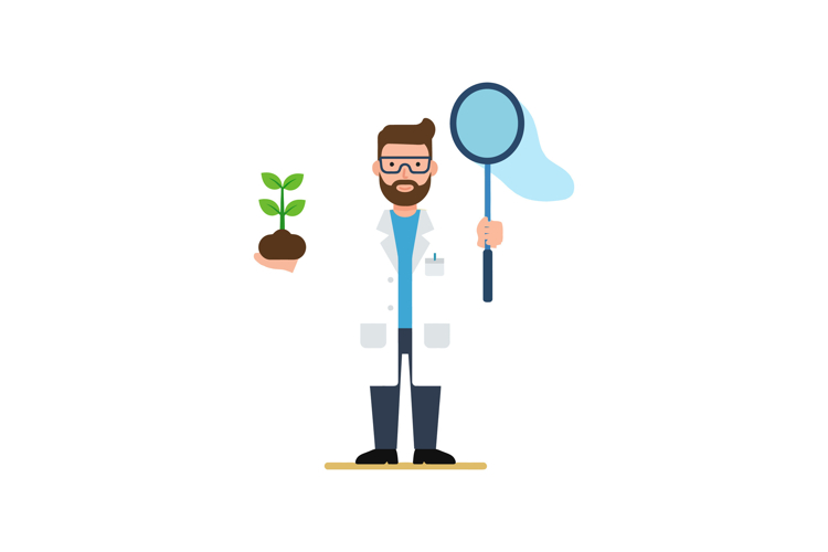 Seedling Clipart Image 14