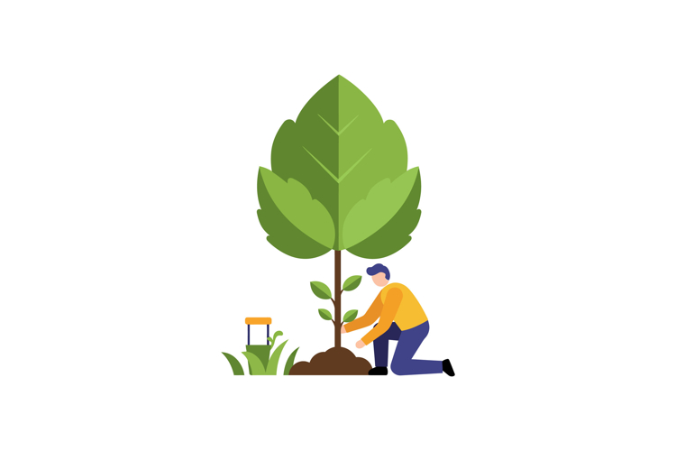 Tree Clipart Image 17