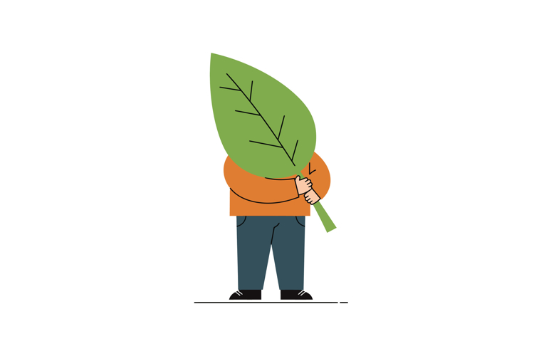 Leaf Clipart Image 23