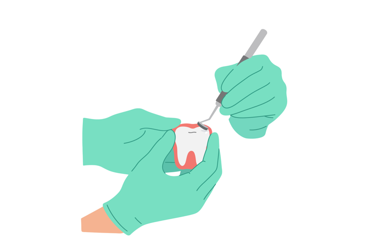 Cleaning Clipart Image 17