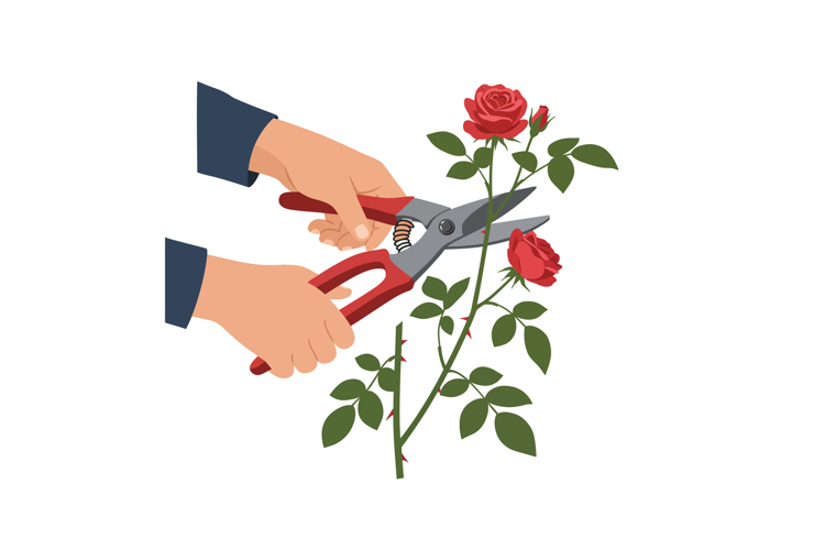 Hands Clipart Image 11