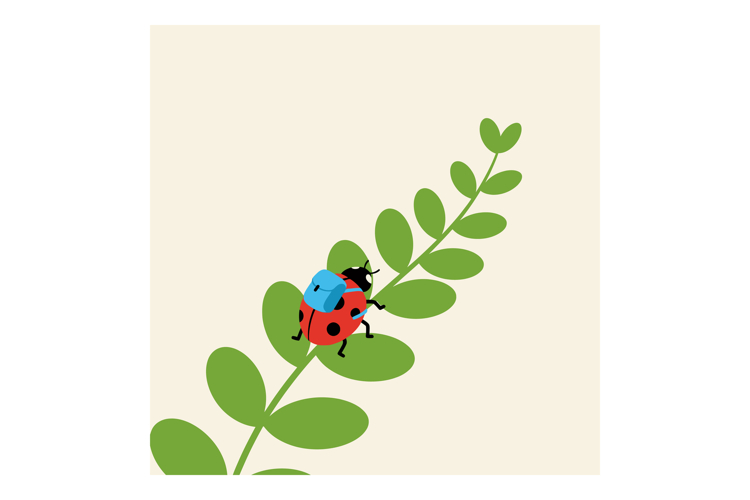 Bug Clipart Image 22