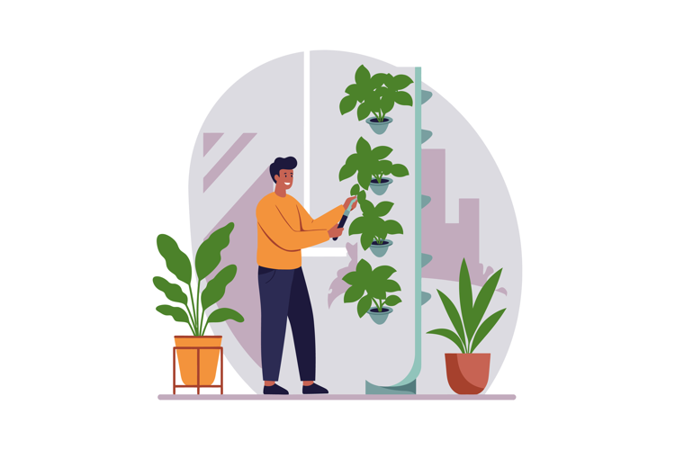 Man Pruning Vertical Indoor Garden with Green Plants in Mode