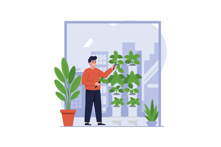 Man Caring for Indoor Plants with Green Leaves in Modern Apa