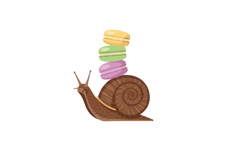 Snail Clipart Image 11