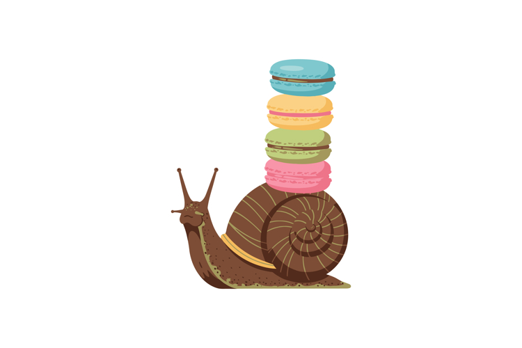 Snail Clipart Image 10