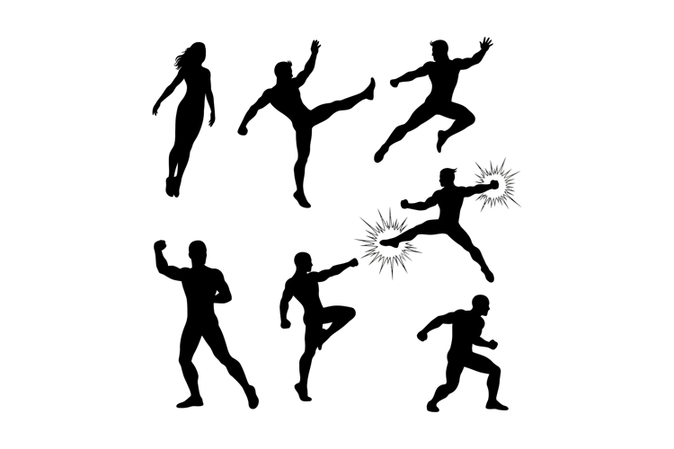 Martial Arts Silhouette Image 7