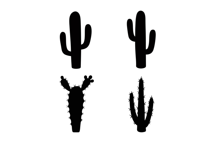 Desert Silhouette Image 8