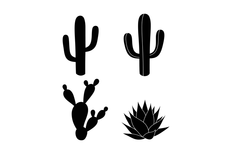 Desert Silhouette Image 9