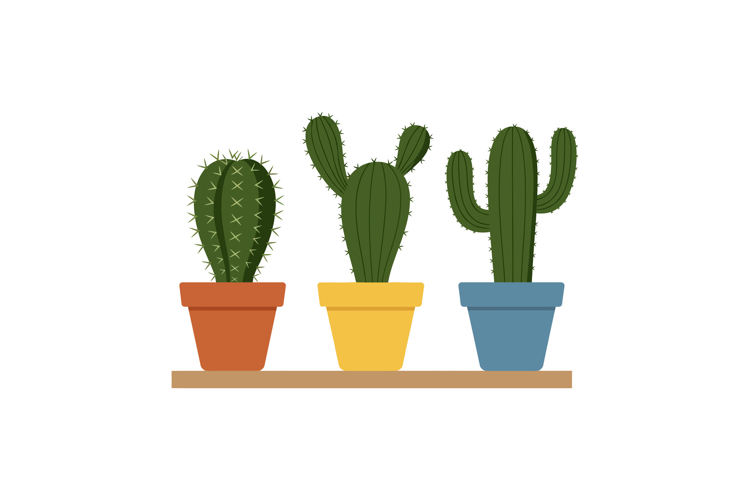 Cactus Clipart Image 10