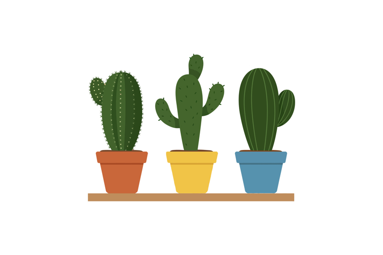 Cactus Clipart Image 9