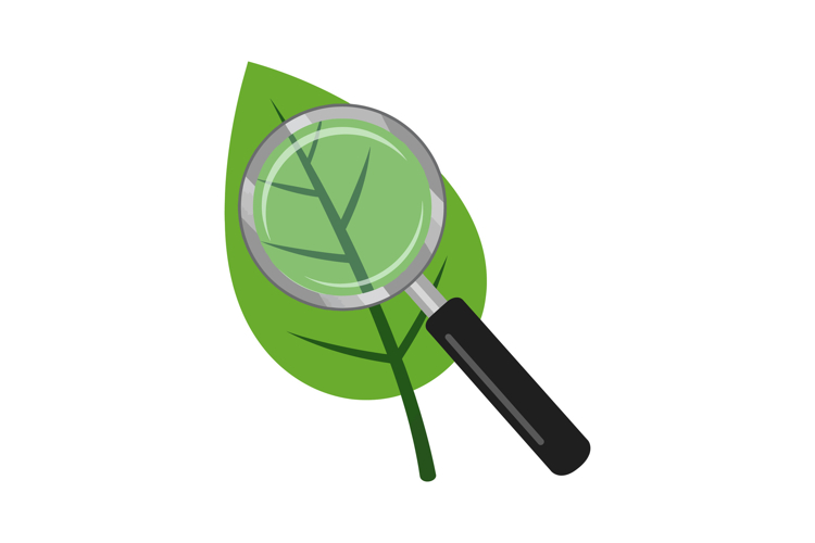 Magnifying glass inspecting green leaf illustration for envi