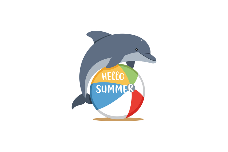 Dolphin Playing with Colorful Beach Ball Saying Hello Summer