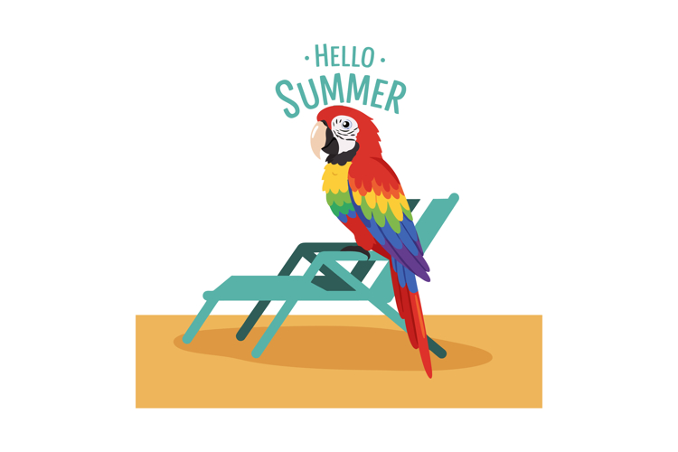 Parrot Illustration Image 21
